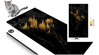 ¿Dónde van los gatos cuando salen de casa? La ciencia dibuja el mapa de sus escapadas