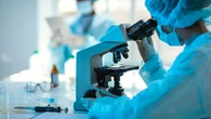 Investigadores catalanes identifican una fuente de antibióticos naturales en las proteínas