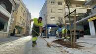 La campaña de plantaciones supera ya el 80% en el viario público con 3.000 árboles