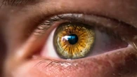 Desarrollan una técnica que restaura la visión perdida con nanopartículas de oro