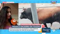 La madre de la niña herida por un toro en Pantoja, Toledo: 