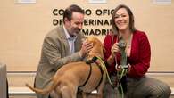 Flor, del abandono y el maltrato a ser una perra de película, premio al animal más comprometido