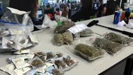 Una inspección contra 'grow shops' en Barcelona acaba con 60 denuncias, 2.200 productos incautados y 8 investigados
