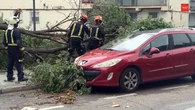 La tormenta en Madrid deja varios heridos por caídas de ramas y cornisas, dos de ellos hospitalizados