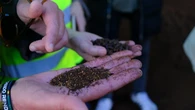 De la aceituna se aprovecha todo: jabones, biodiésel, cosmética, compost, biodiesel, fertilizantes…