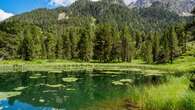 La ruta a un lago glaciar rodeado de vegetación en los Pirineos de Huesca