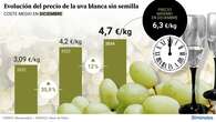 Las uvas disparan su precio hasta un 28% antes de Nochevieja