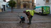 La sequía y las elevadas temperaturas sostenidas incrementan la presencia de ratas, cucarachas y chinches en Cataluña