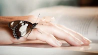 Esperanza para los enfermos de 'piel de mariposa': un injerto modificado podría aliviar su situación