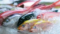 El aviso de un pescadero sobre el tipo de pescado que comen los niños: "No todos son seguros"