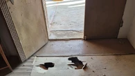 La iglesia de un pueblo de León se cae a pedazos y sus vecinos deciden pedir ayuda a la reina Sofía