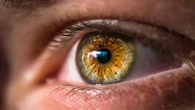 Adiós a la ceguera: así es la técnica que restaura la visión con nanopartículas de oro