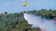 Estabilizan el incendio forestal al pie del Canigó que ha dejado 400 hectáreas calcinadas y cinco bomberos heridos