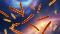 Una vacuna española contra la tuberculosis podría sustituir en 2028 a la única que hay en el mundo, pero tiene una pega