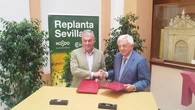 Sevilla lanza una web para que vecinos y empresas apadrinen árboles y alcanzar los 30.000 ejemplares en 2030