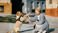 Los perros también escuchan incluso cuando les hablamos en tono neutro