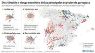 Así se mueven las garrapatas en España: el mayor mapa sobre su distribución y riesgo zoonótico