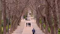 Los madrileños votan por climatizar colegios, plantar más árboles e instalar bancos