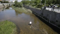 El río Manzanares combate a la mosca negra: "Su mordedura es dolorosa y provoca reacciones"