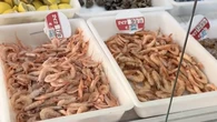 El local de Málaga para comer pescaíto frito por muy poco dinero