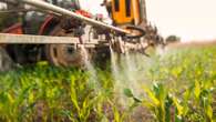 Los alimentos de consumo diario están contaminados con más de 100 plaguicidas