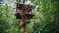 De la copa de un árbol a dormir bajo las estrellas: seis alojamientos ecológicos en Japón