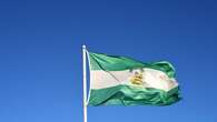 Bandera de Andalucía: por qué se llama arbonaida, significado de los colores blanco y verde y su origen
