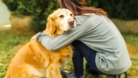 VioPet, un refugio para animales y personas víctimas de violencia de género