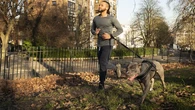 Empezar a correr con perros: cómo hacerlo de forma segura y adaptada