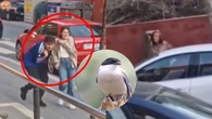 Las violentas reacciones de unos pájaros contra los transeúntes de este municipio español