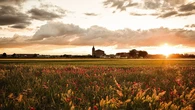 El pequeño pueblo conocido como el Mar Rojo de la Mancha con un espectacular paisaje de amapolas rojas