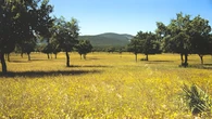 El rincón de Toledo donde se ha refugiado Pedro Sánchez: un espacio natural con una rica fauna y flora