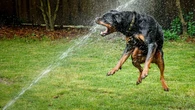 No solo son peligrosos los golpes de calor, también la intoxicación por exceso de agua o hiponatremia