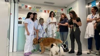 La Vall d'Hebron incorpora una terapia asistida con perros para niños y adolescentes ingresados por trastornos mentales