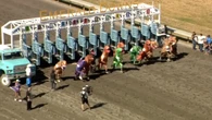 'Jurassic Race', más de 300 T-Rex compiten en la carrera antediluviana más loca y divertida