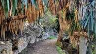 Este bosque encantado está en Córdoba y esconde historias de bandidos