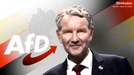Alemania tilda a AfD como organización "extremista" con objetivos "contrarios al orden democrático" 
