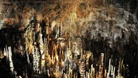 La espectacular cueva al sur de Francia que deja sin palabras a quien la visita: un bosque de estalagmitas