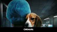 18 meses para destapar el maltrato animal en un laboratorio: 'Infiltrada en el búnker' llega a Prime Video