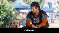 La conmovedora historia real de 'Arthur', la película de Mark Wahlberg con un perro que triunfa en Prime