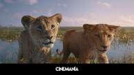 Dónde puedes ver 'Mufasa: El rey león' en streaming: fecha de estreno de la película 