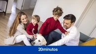 Día internacional del perro guía, un homenaje a los ojos que caminan a nuestro lado