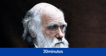 Un libro asegura que Darwin robó su teoría de la evolución a un científico rival
