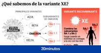 La variante recombinante XE de la covid-19 llega a España: ¿puede originar una nueva ola?