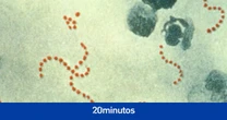 Los casos de estreptococo A preocupan a Europa: "La población ha perdido la inmunidad a los virus y bacterias habituales"
