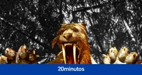 Hallan en Argentina el cráneo y los colmillos de 17 centímetros de un tigre dientes de sable