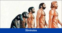 Unos 25.000 homínidos habitaban Europa occidental hace 500.000 años