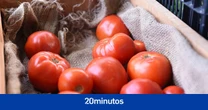 No, el glutamato no es “un simple potenciador del sabor”
