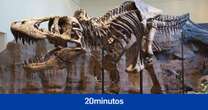 El Tiranosaurio rex era sólo uno y era el rey: científicos desmienten que existieran tres especies distintas del dinosaurio