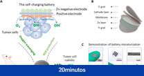 Científicos chinos desarrollan una batería implantable que mata las células tumorales